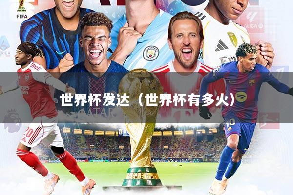 世界杯发达（世界杯有多火）